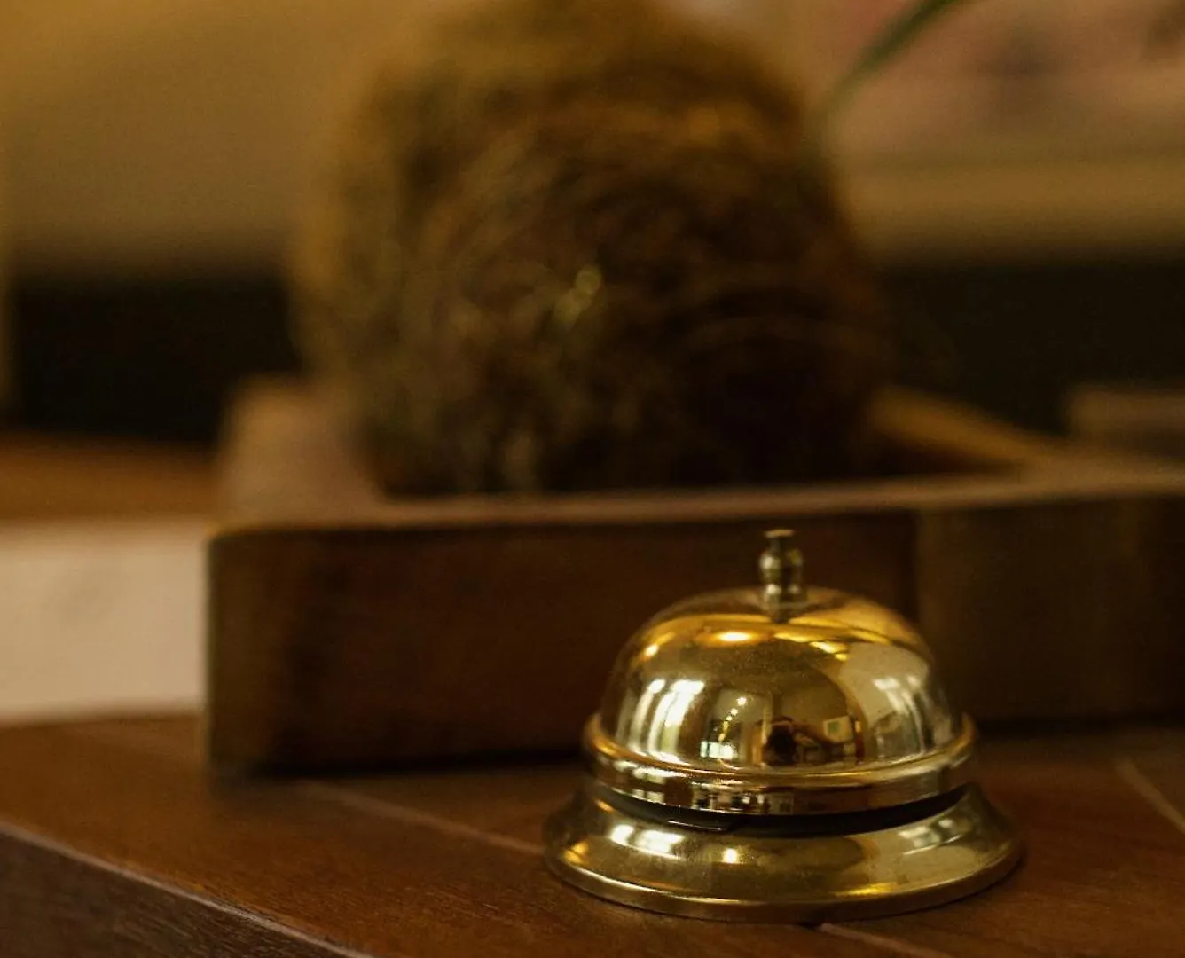 Hotel Matelote Antwerp